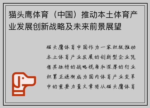 猫头鹰体育（中国）推动本土体育产业发展创新战略及未来前景展望